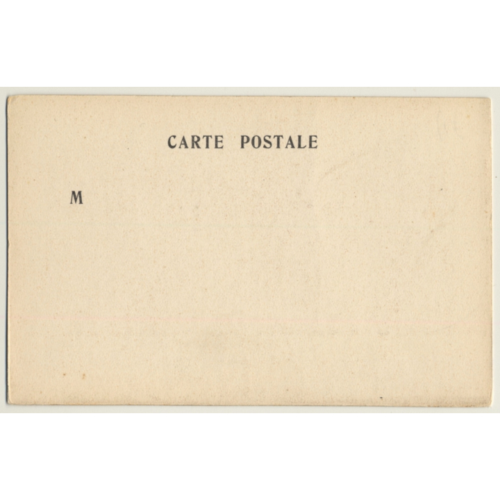 Longhaired French Nude W. Silk Scarf / Boudoir (Vintage PC ~1900s)