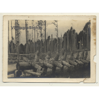 Col Des Journaux / Alsace: Barrière Anti-Char - WW1 (Vintage Photo 1917)