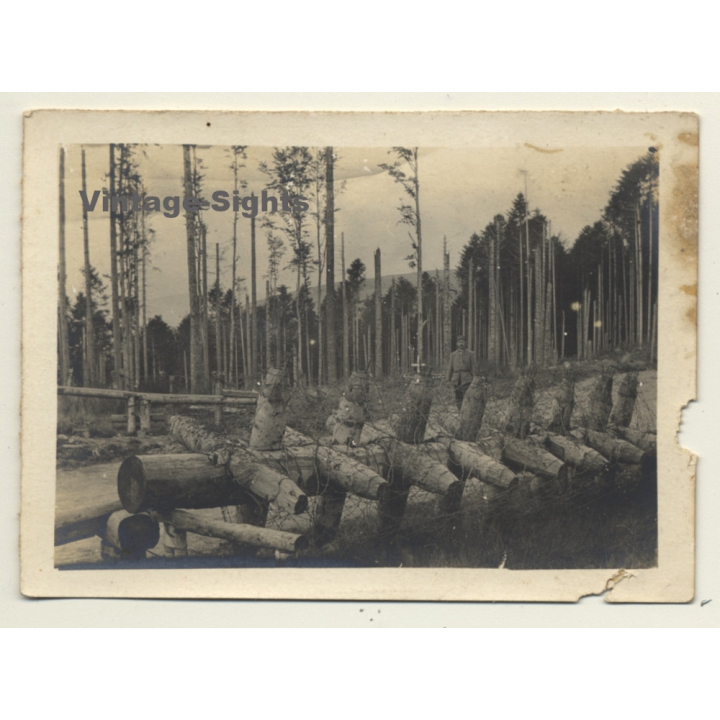 Col Des Journaux / Alsace: Barrière Anti-Char - WW1 (Vintage Photo 1917)