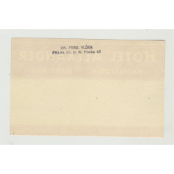 Hotel Alexander - Hagerstown / USA (Vintage Luggage/Postal Label)