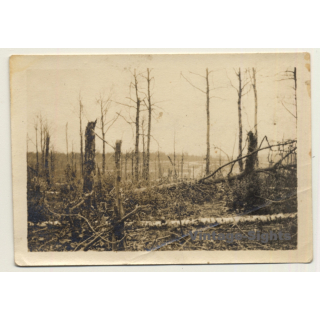 Saint-Hubert: Trier à Paris - Dans La Forêt WW1 (Vintage Photo ~1910s)
