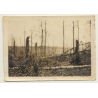 Saint-Hubert: Trier à Paris - Dans La Forêt WW1 (Vintage Photo ~1910s)