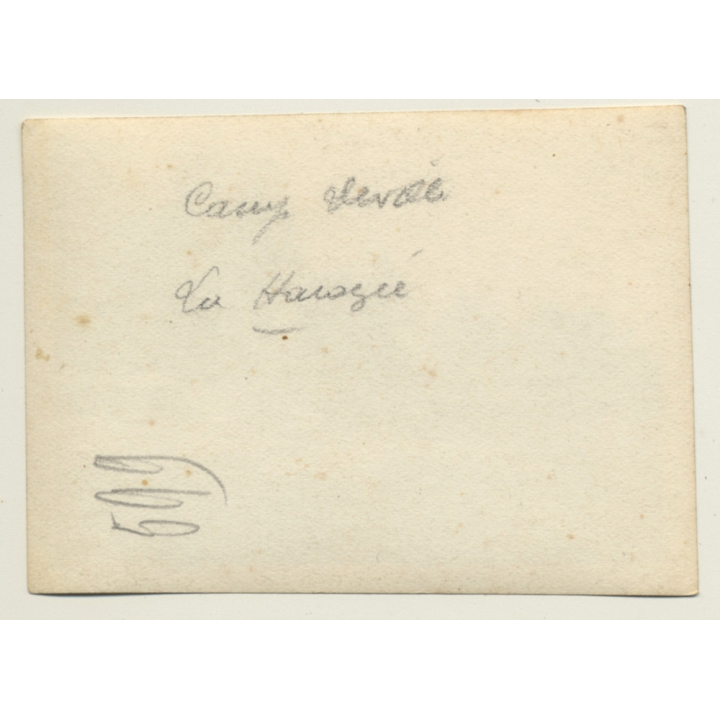 La Harazée / Argonne: Camp, Soldats & Mules WW1 (Vintage Photo ~1910s)