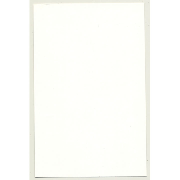 Punky Semi Nude Woman In Faux Fur Coat (Vintage Photo GDR 1980s)