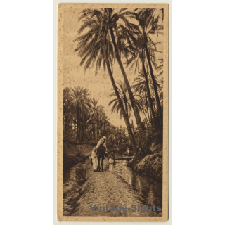 Lehnert & Landrock: Egypt No. 30 Rest For Drinking (Vintage PC ~1930s)