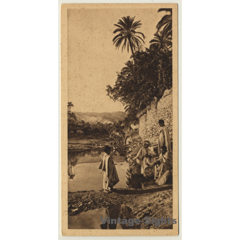 Lehnert & Landrock: Egypt No. 31 Noontide Rest In The Oasis (Vintage PC 1935)