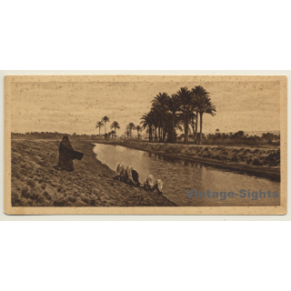 Lehnert & Landrock: Egypt No. 25 Landscape Near Cairo (Vintage PC 1935)