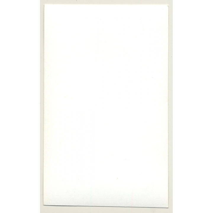 Topless Brunette Beauty In Meadow / Panties (Vintage Photo 1960s)