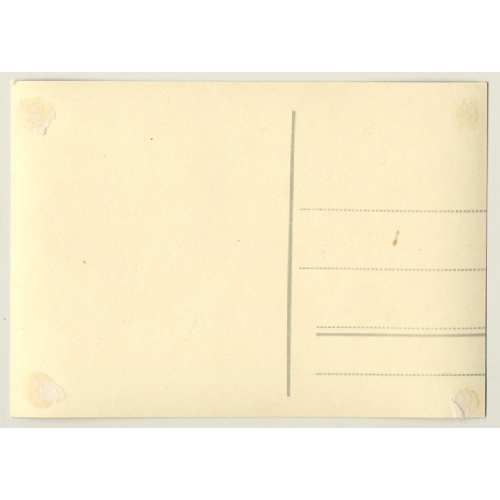 Nude Study Of Brunette Woman / Upper Body (Vintage RPPC ~1950s)