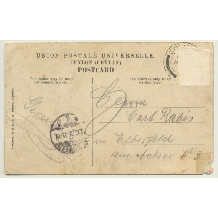 Ceylon / Sri Lanka: Singhalese Girl / Ethnic (Vintage PC 1906)