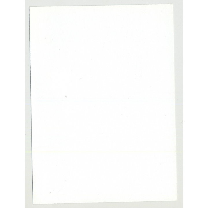 Tall Nude W. Tan Lines Puts On Lingerie 6 / Stockings - 70s Carpet (Vintage Amateur Photo)