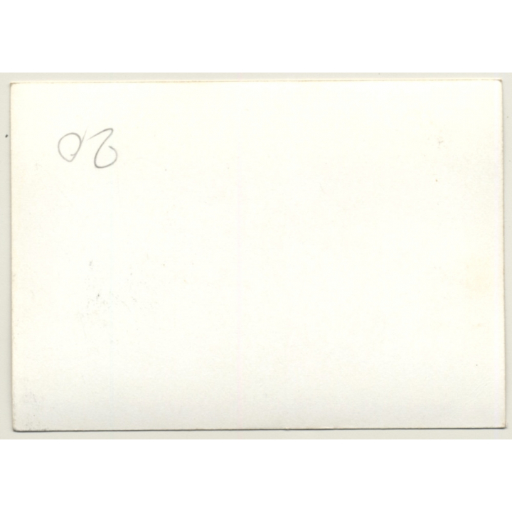 Nivelles-Baulers GP: Formula 1 Marshals & Journalists / Race Track (Vintage Photo 1972)