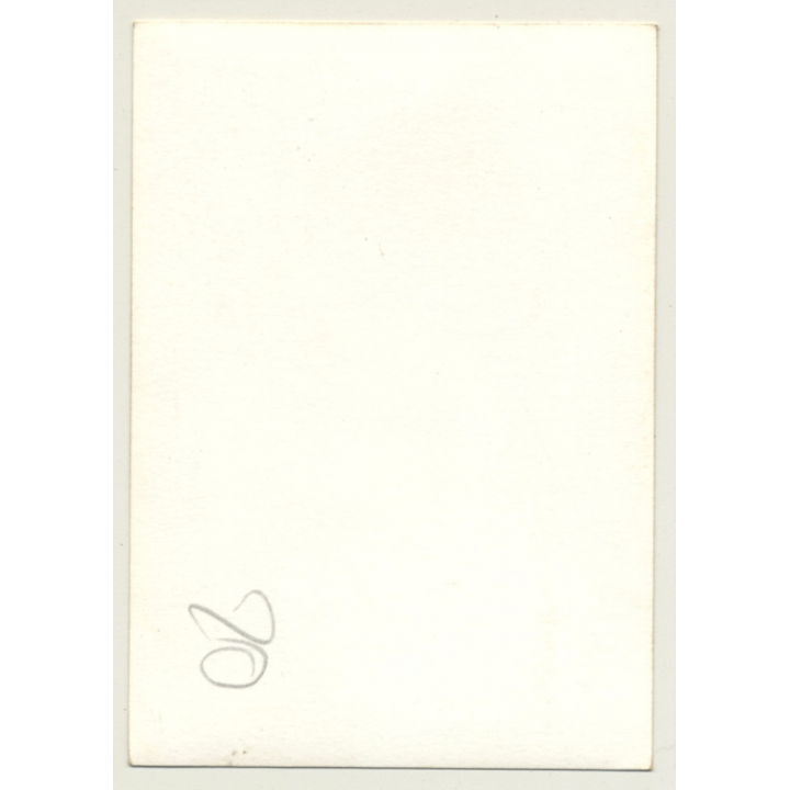 Nivelles-Baulers GP: Brabham Ford Driver Rest On Tyre / Fittipaldi? Reutemann? (Vintage Photo 1972)