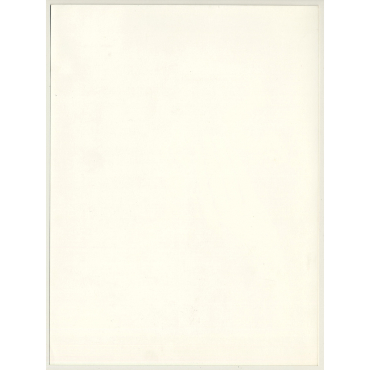 Profile Of Woman's Face / Beauty Care (Vintage Advertising Photo: Wolfgang Klein 1980s)