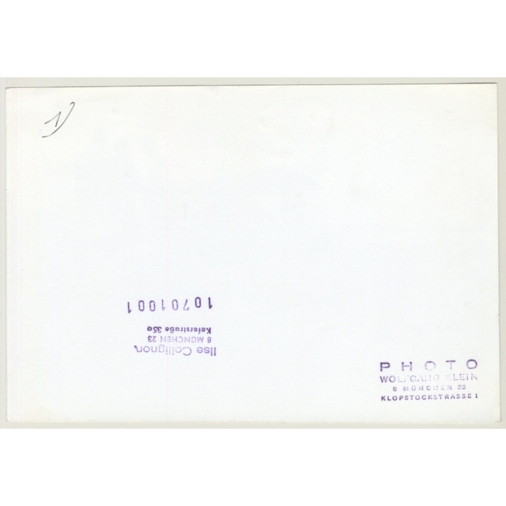 Small Propeller Plane On Meadow / Dog (Vintage Photo: W. Klein - Ilse Collignon ~1960s/1970s)