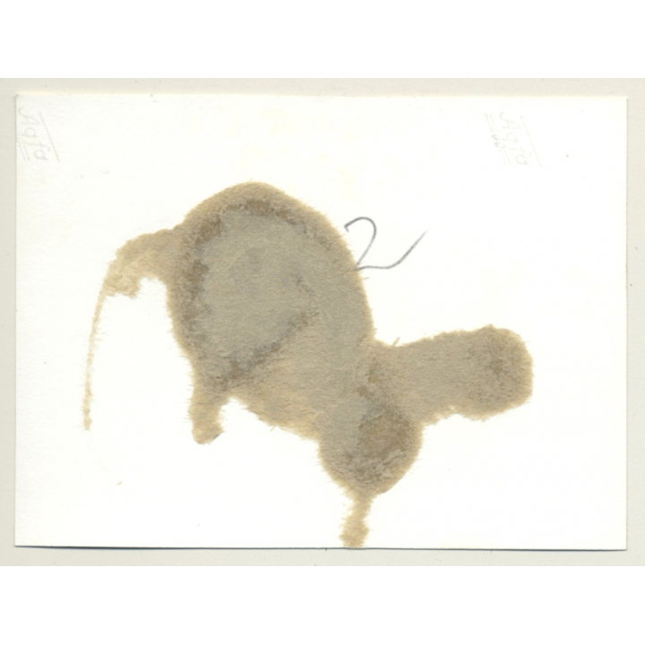 2 Women Tied To Bamboo Pole *2 / Bondage - BDSM (2nd Gen. Photo GDR 1964)