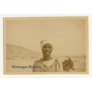 Maghreb: Pretty Bedouin Woman & Donkey (Vintage Photo ~1930s/1940s)