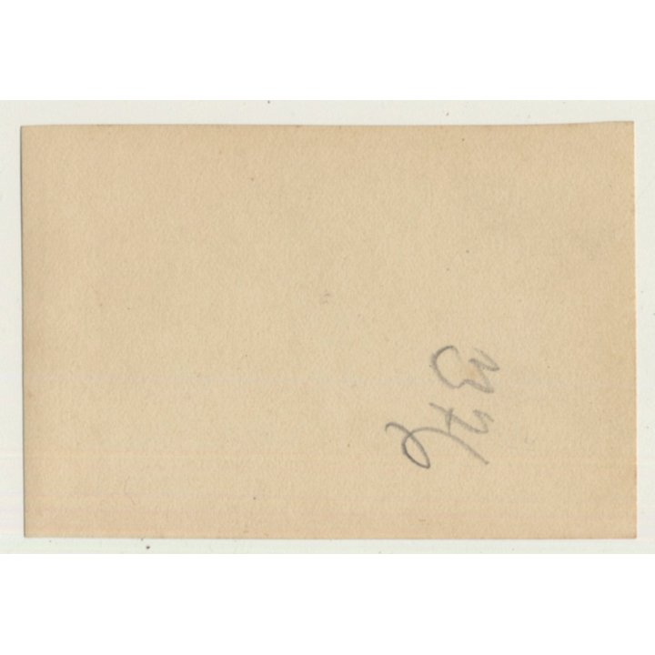 Maghreb: Pretty Bedouin Woman & Donkey (Vintage Photo ~1930s/1940s)