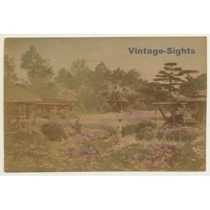 Japan: Geisha In Traditional Garden - Minka / Meiji Period (Vintage Hand Tinted Photo ~1890s)