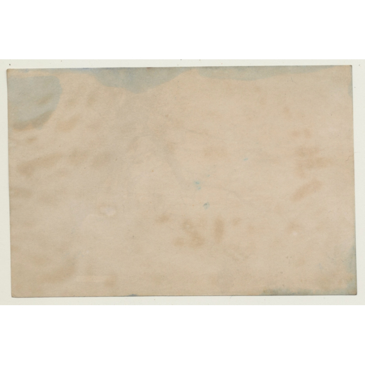 Japan: Mukojima - Tokyo - Sakura / Meiji Era (Vintage Hand Tinted Photo ~1890s)