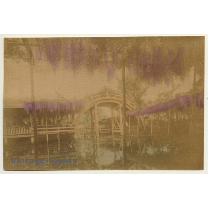Japan: Kameido Tenjin Shrine - Wisteria / Meiji Era (Vintage Hand Tinted Photo ~1890s)