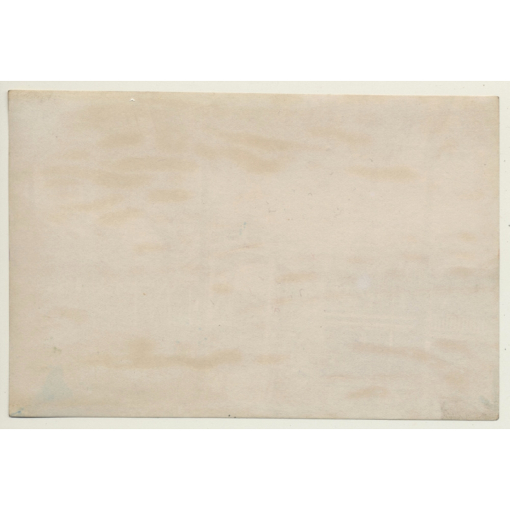 Japan: Kameido Tenjin Shrine - Wisteria / Meiji Era (Vintage Hand Tinted Photo ~1890s)