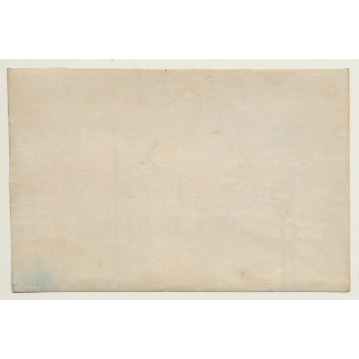 Japan: Kameido Tenjin Shrine *2 - Wisteria / Meiji Era (Vintage Hand Tinted Photo ~1890s)