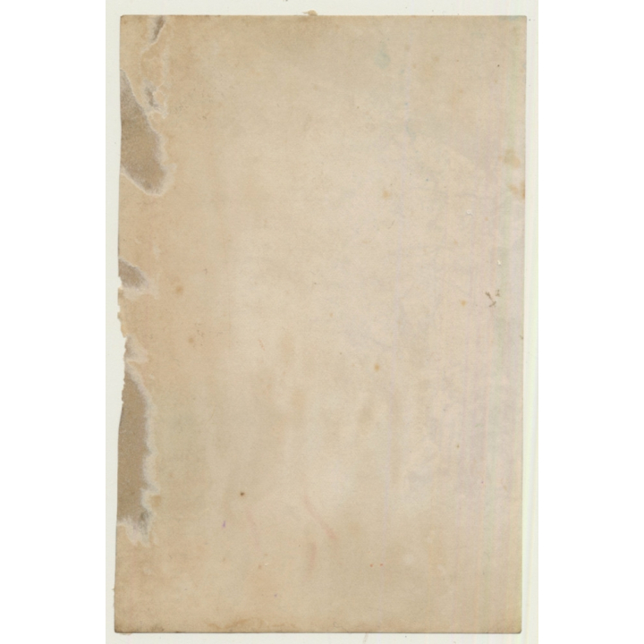 Japan: Geishas - People - Sakura / Meiji Era (Vintage Hand Tinted Photo ~1890s)