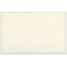 Brugge / Belgium: Karos Hotel (Vintage Self Adhesive Luggage Label / Sticker)