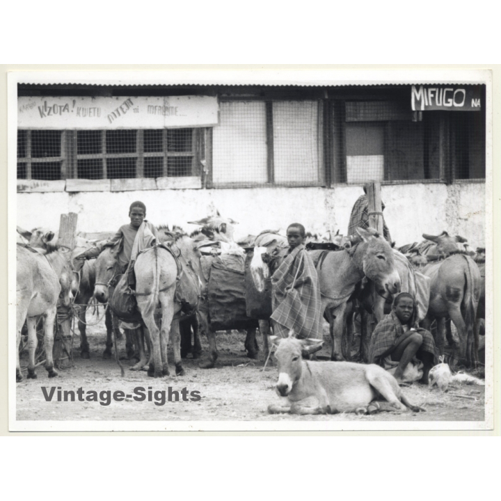 Kizota / Tanzania: Natives Kids & Donkeys / Bantu - Ethno (Vintage Photo ~1980s)