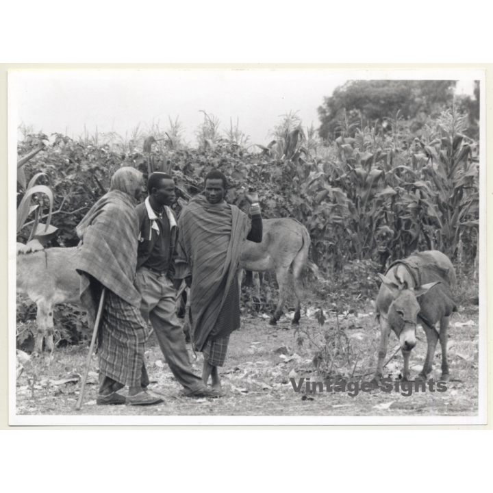 Tanzania: Maasai Men & Donkeys / Ethno (Vintage Photo ~1980s)