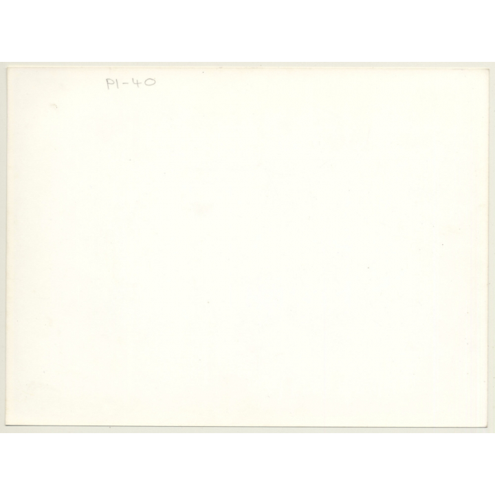 Tanzania: Maasai Men & Donkeys / Ethno (Vintage Photo ~1980s)