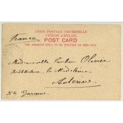 Ceylon / Sri Lanka: York Street, Colombo - Rickshaw (Vintage PC 1904)