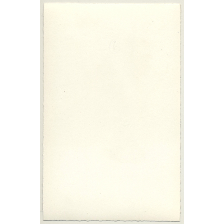 Racy Brunette Woman Flashes Boobs / Transparent - Pin-Up (Vintage RPPC ~1950s)