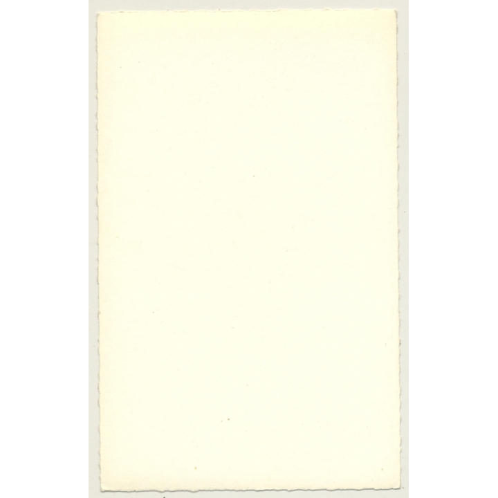 Busty Brunette Semi Nude Smiles At Camera / Lingerie - Pin-Up (Vintage RPPC ~1950s)