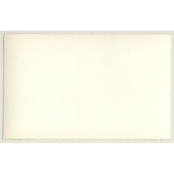 Shorthaired Nude Woman Relaxes On Picnic Blanket / Pin-Up (Vintage RPPC ~1950s)