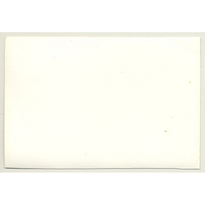 Busty Nude Woman On Rocks / Beach (Vintage Photo ~1940s)