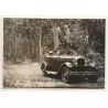 Congo-Belge: Packard Six Touring In Jungle / Colonial Master (Vintage Photo ~1930s)