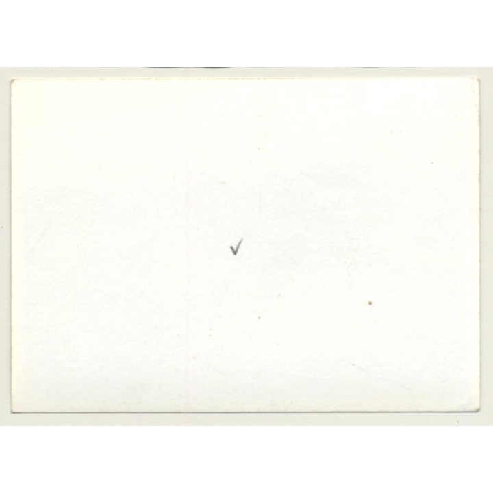 Kyoto / Japan: Keihan Bus - Kansai Int. Airport (Vintage Photo ~1960s/1970s)