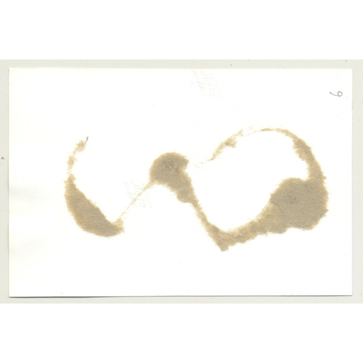 Brunette In Lacquer Dress / Rope Bondage - Breast Flash - BDSM (2nd Gen. Photo GDR ~1960s)