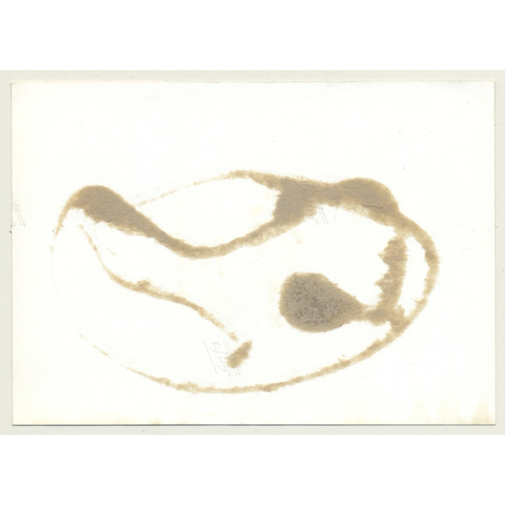 Beautiful Semi Nude Female In Belt Bondage *1 / Gag - BDSM (2nd Gen. Photo ~1960s)