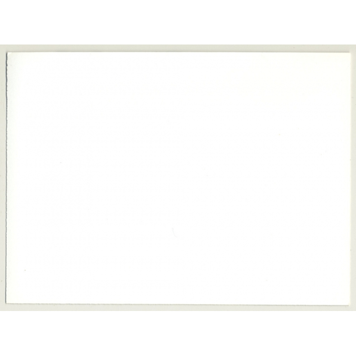 Nude Study Of Woman In Stockings / Suspenders (Vintage Photo GDR ~ 1970s)