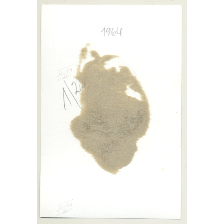 Semi Nude Blonde With Metal Chastity Belt*2 / Butt - BDSM (2nd Gen. Photo GDR 1964)