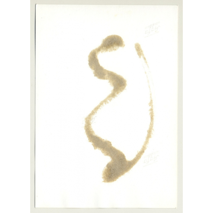 Brunette Woman With Foot & Hand Pillory / BDSM (2nd Gen. Photo GDR ~1960s)