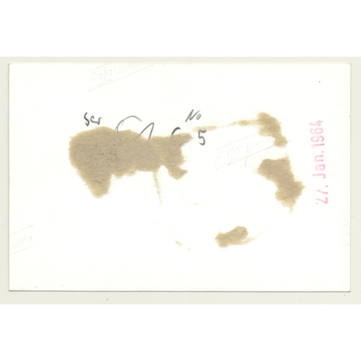 2 Pretty Females In Chain Bondage / Lingerie - BDSM (Vintage Photo GDR 1964)