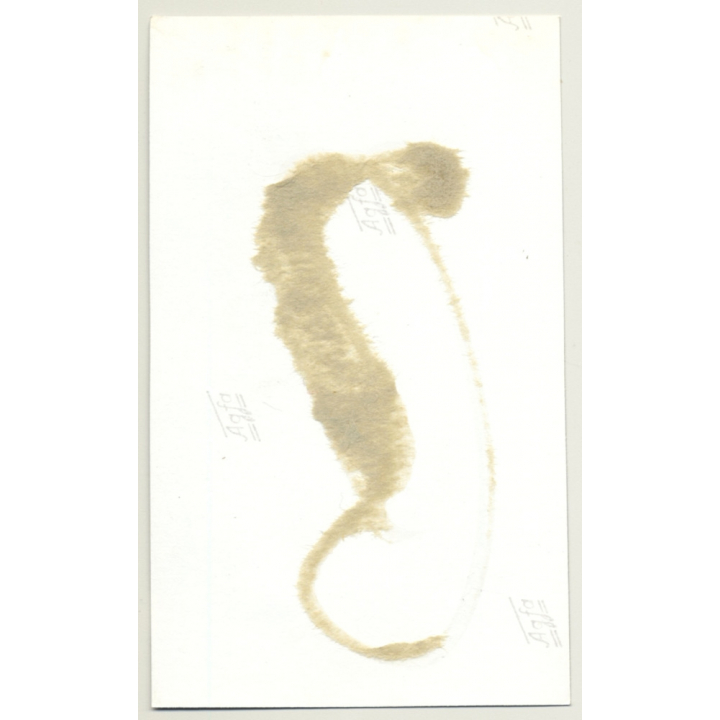 Smoking Brunette - White Lingerie & Fetish Lacquer Coat / BDSM (Vintage Photo GDR ~1960s)