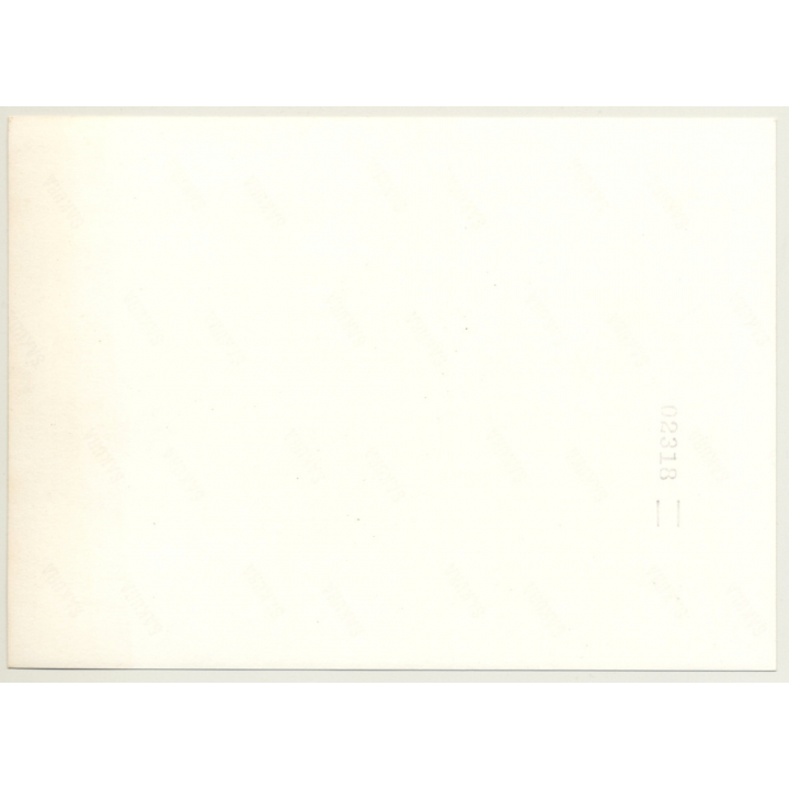 JAL Japan Air Lines Crew - Jumbo Jet / Tokyo International Airport (Vintage Photo ~1970s)