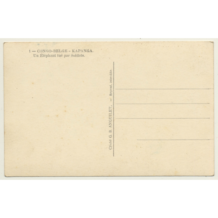 Kapanga / Congo-Belge: Un Éléphant Tué Par Soldats / Force Publique (Vintage Postcard)