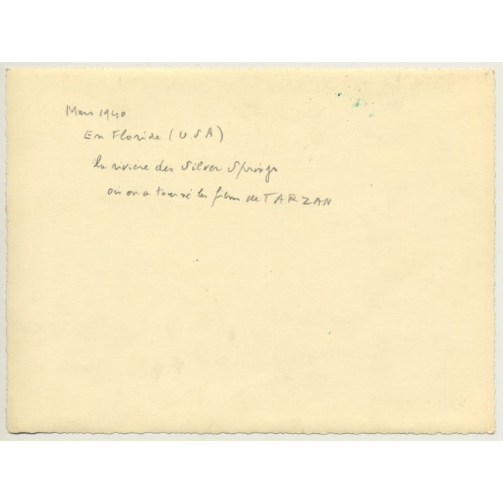 Florida / USA: River In Silver Springs / Tarzen (Vintage Photo 1940)