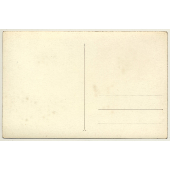 Splendid Cow At Lake Shore / Udder - Cattle (Vintage RPPC)